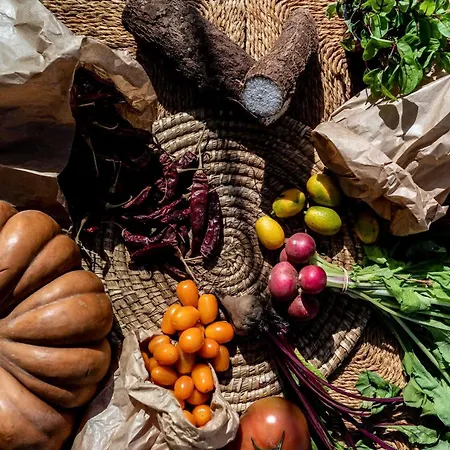 Royal Hideaway Corales - Adults Only ホテル