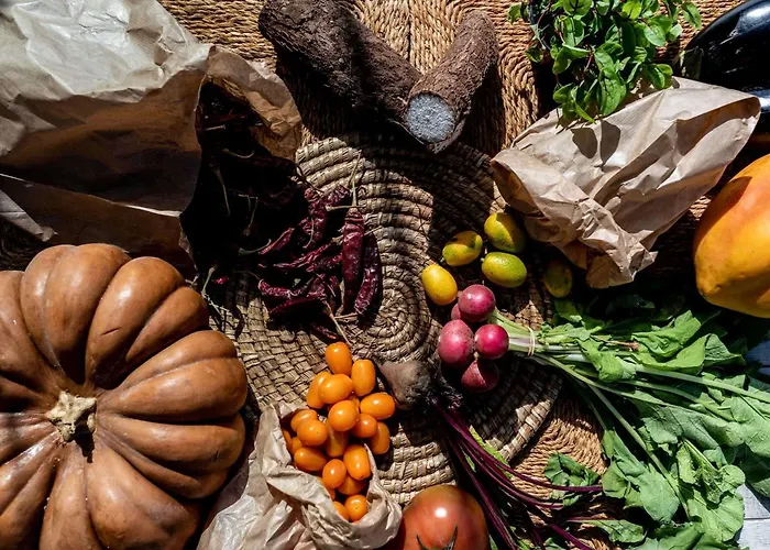 Royal Hideaway Corales - Adults Only Ξενοδοχείο