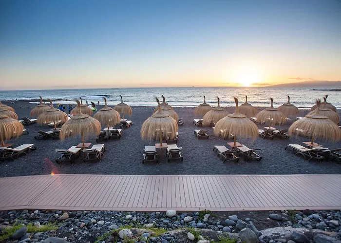 酒店 Royal Hideaway Corales - Adults Only 阿德耶