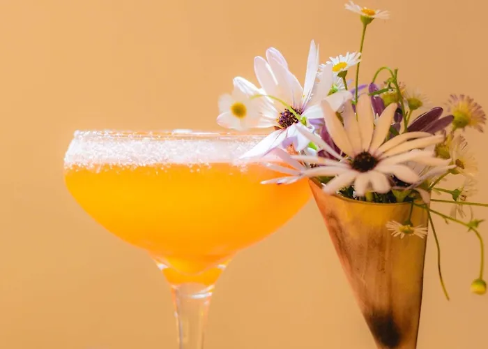 Royal Hideaway Corales - Adults Only 酒店 阿德耶